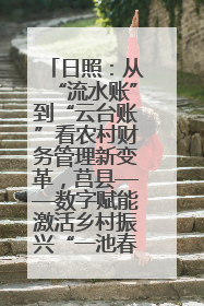 日照：从“流水账”到“云台账”看农村财务管理新变革，莒县——数字赋能激活乡村振兴“一池春水”