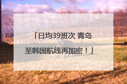 日均39班次 青岛至韩国航线再加密！