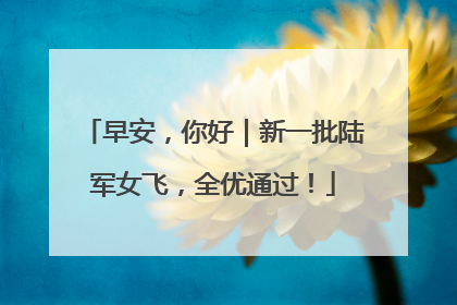 早安，你好｜新一批陆军女飞，全优通过！