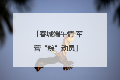 春城端午情 军营“粽”动员