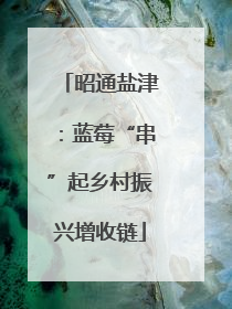 昭通盐津：蓝莓“串”起乡村振兴增收链