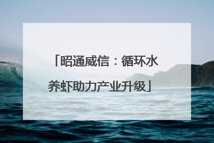 昭通威信：循环水养虾助力产业升级