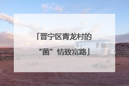 晋宁区青龙村的“菌”情致富路