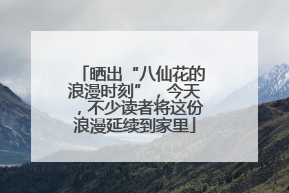 晒出“八仙花的浪漫时刻”，今天，不少读者将这份浪漫延续到家里