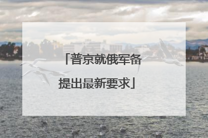普京就俄军备提出最新要求