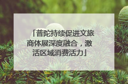 普陀持续促进文旅商体展深度融合，激活区域消费活力
