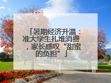 暑期经济升温：准大学生扎堆消费，家长感叹“甜蜜的负担”