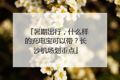 暑期出行，什么样的充电宝可以带？长沙机场划重点