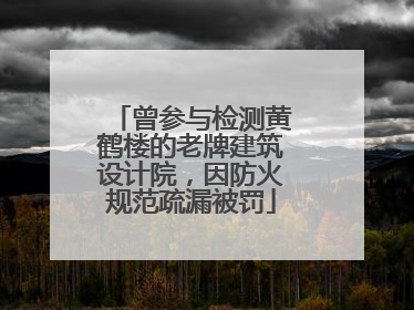曾参与检测黄鹤楼的老牌建筑设计院，因防火规范疏漏被罚
