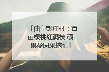 曲阜彭庄村：百亩樱桃红满枝 硕果盈园采摘忙