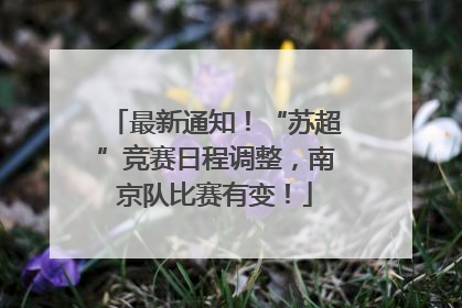最新通知！“苏超”竞赛日程调整，南京队比赛有变！