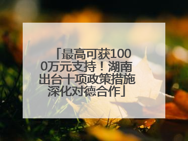 最高可获1000万元支持！湖南出台十项政策措施深化对德合作