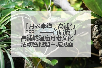 月老牵线，高浦有“囍”——首届厦门高浦城隍庙月老文化活动暨他趣百城见面会隆重举办
