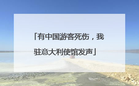 有中国游客死伤，我驻意大利使馆发声