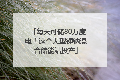每天可储80万度电！这个大型锂钠混合储能站投产