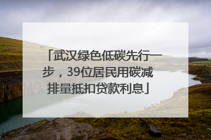 武汉绿色低碳先行一步，39位居民用碳减排量抵扣贷款利息