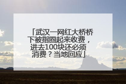 武汉一网红大桥桥下被指圈起来收费，进去100块还必须消费？当地回应