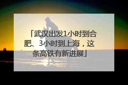 武汉出发1小时到合肥、3小时到上海，这条高铁有新进展