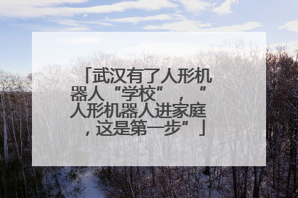 武汉有了人形机器人“学校”，“人形机器人进家庭，这是第一步”