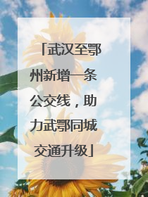 武汉至鄂州新增一条公交线，助力武鄂同城交通升级