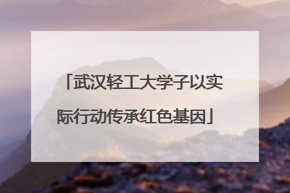 武汉轻工大学子以实际行动传承红色基因