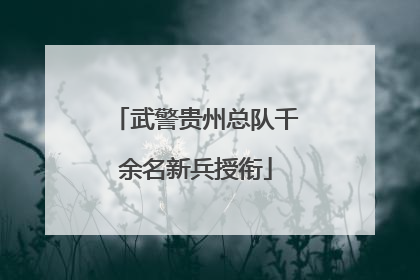 武警贵州总队千余名新兵授衔