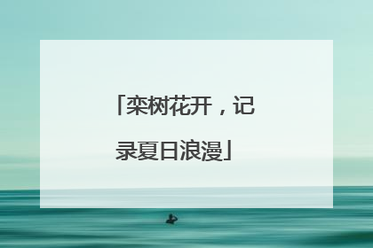 栾树花开，记录夏日浪漫