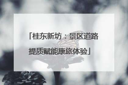 桂东新坊：景区道路提质赋能康旅体验