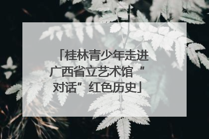 桂林青少年走进广西省立艺术馆“对话”红色历史