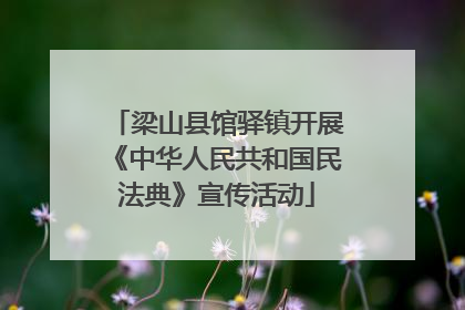 梁山县馆驿镇开展《中华人民共和国民法典》宣传活动