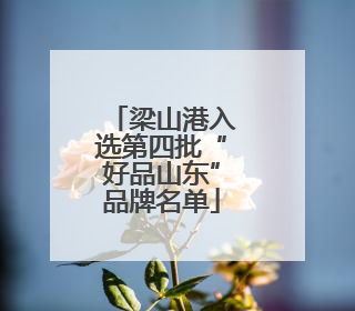梁山港入选第四批“好品山东”品牌名单