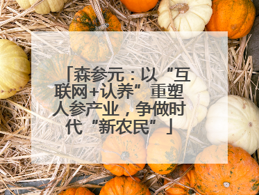 森参元：以“互联网+认养”重塑人参产业，争做时代“新农民”