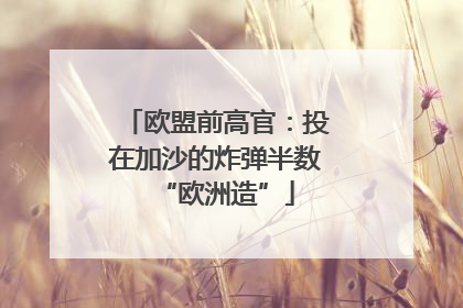 欧盟前高官：投在加沙的炸弹半数“欧洲造”