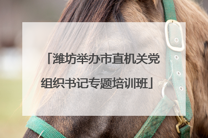 潍坊举办市直机关党组织书记专题培训班