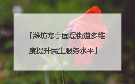 潍坊寒亭固堤街道多维度提升民生服务水平