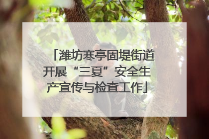 潍坊寒亭固堤街道开展“三夏”安全生产宣传与检查工作
