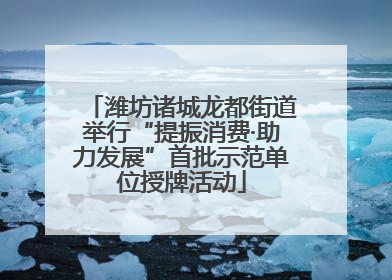 潍坊诸城龙都街道举行“提振消费·助力发展”首批示范单位授牌活动