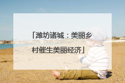 潍坊诸城：美丽乡村催生美丽经济