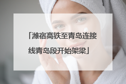 潍宿高铁至青岛连接线青岛段开始架梁