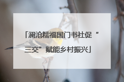澜沧糯福国门书社促“三交”赋能乡村振兴