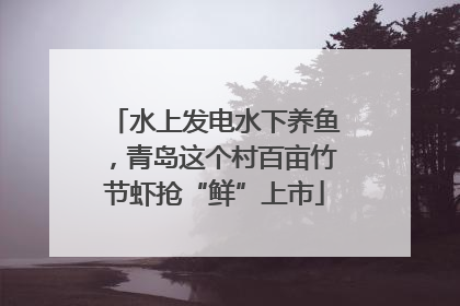 水上发电水下养鱼，青岛这个村百亩竹节虾抢“鲜”上市