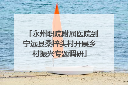 永州职院附属医院到宁远县桑梓头村开展乡村振兴专题调研