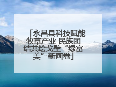 永昌县科技赋能牧草产业 民族团结共绘戈壁“绿富美”新画卷