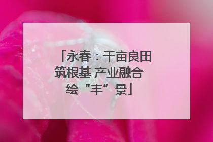 永春：千亩良田筑根基 产业融合绘“丰”景