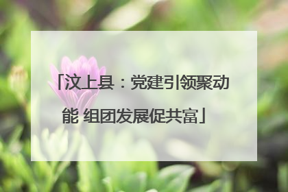 汶上县：党建引领聚动能 组团发展促共富