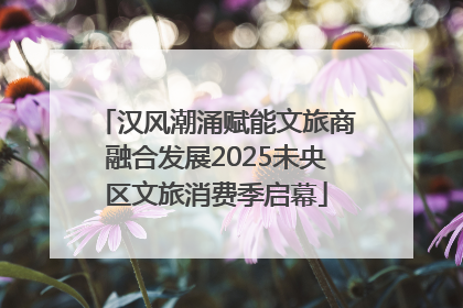 汉风潮涌赋能文旅商融合发展2025未央区文旅消费季启幕