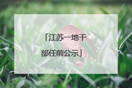 江苏一地干部任前公示