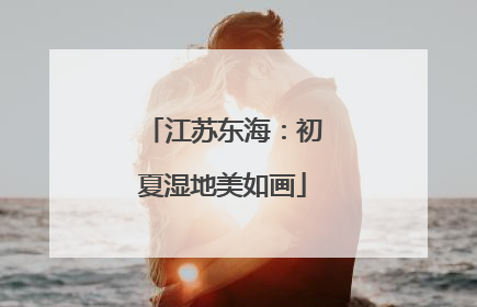 江苏东海：初夏湿地美如画
