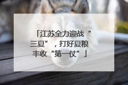 江苏全力迎战“三夏”，打好夏粮丰收“第一仗”