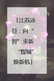 江苏沛县：向“智”求新“煤城”焕新机